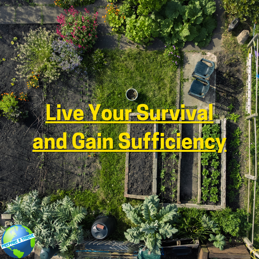 Live Your Survival and Gain Sufficiency, by E.M.