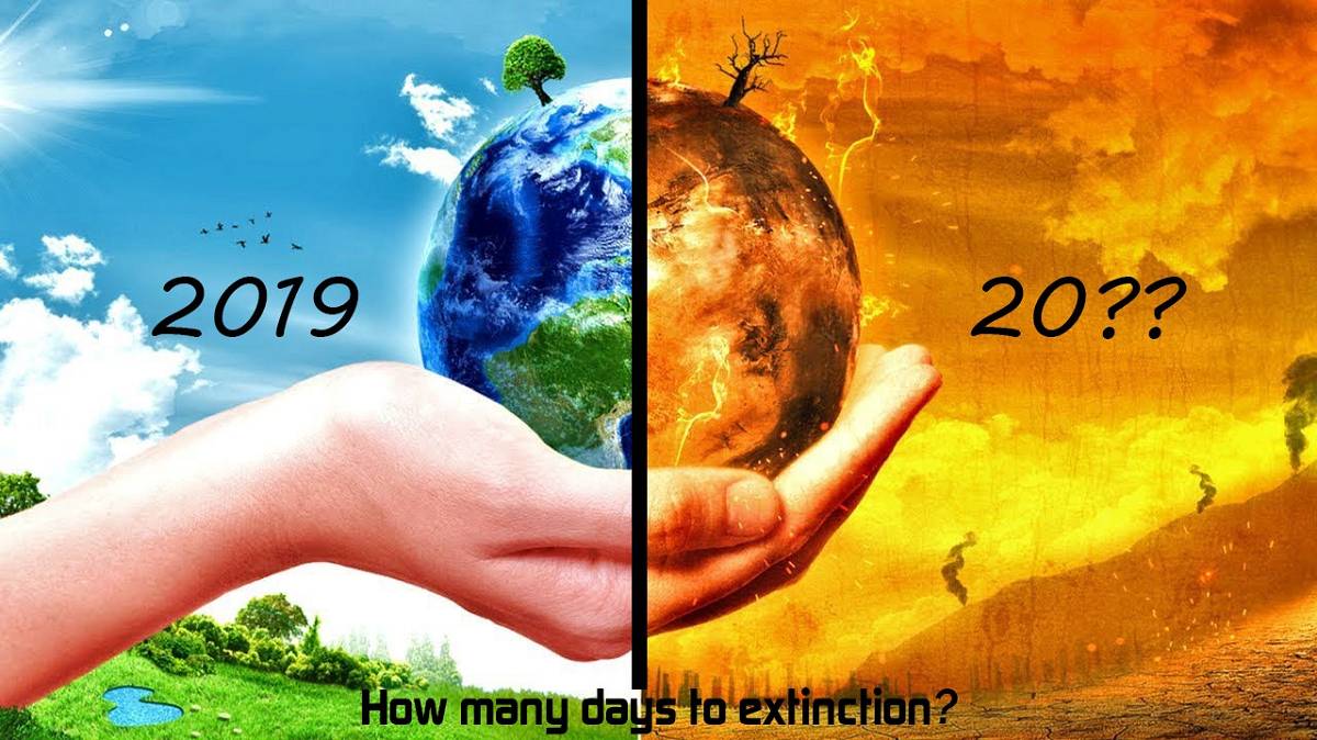 Split image with the left half showing the environment in 2019 and the right half showing diaster in the future