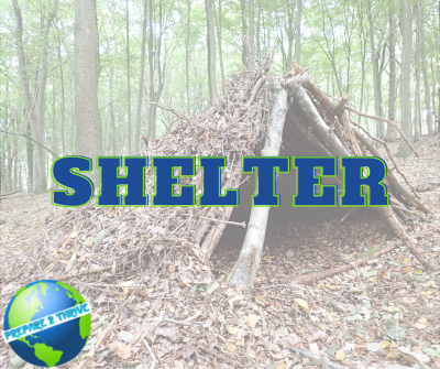 Shelter